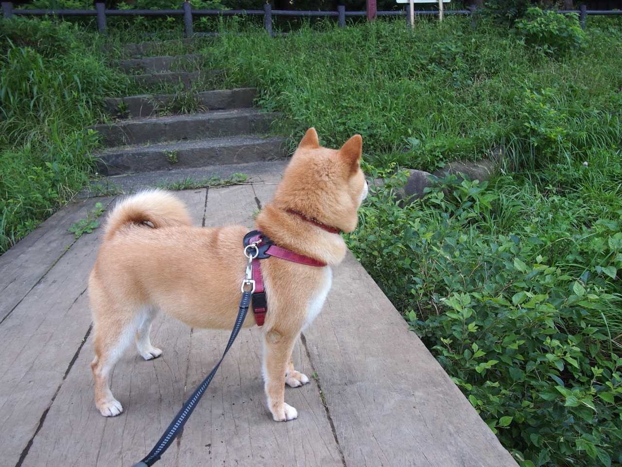 LCK战队训练营全力备战,lck战队基地