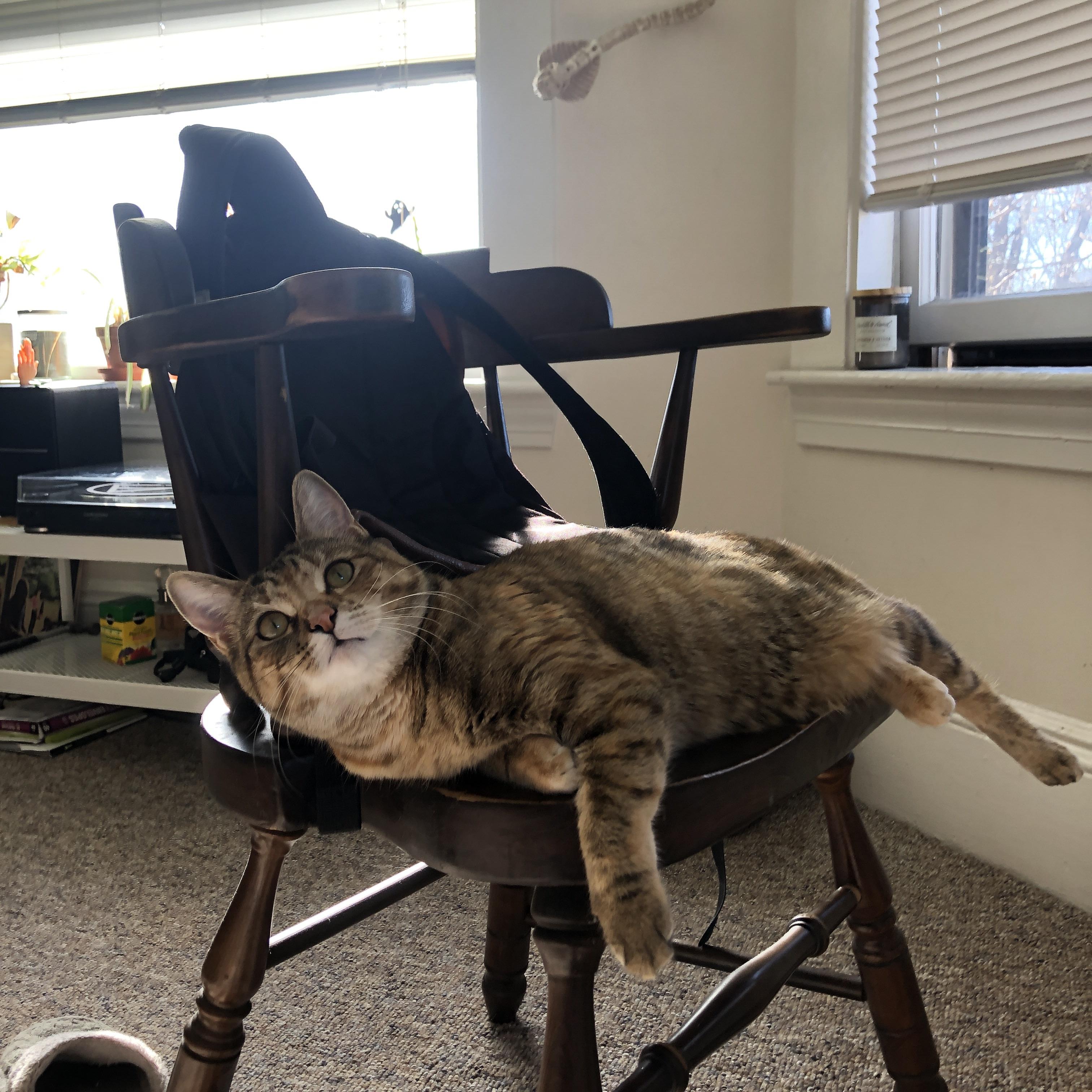 北京国安连胜济南鲁能,欲逆袭中超榜,北京国安vs山东鲁能历史战绩