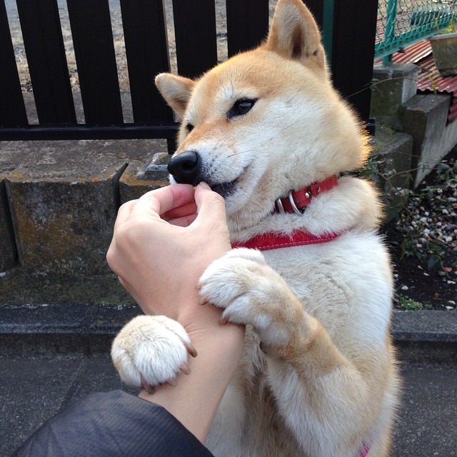 乐鱼官网-是否应为伤病频发球队提供官方技术指导通道，伤病球员可以交易吗