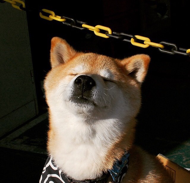 中国足球各级别教练执教风格雷达图，中国足球教练组成员