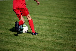 乐鱼（中国）体育官方网站-篮球运动员心理健康服务体系研究，篮球运动员心理健康服务体系研究论文