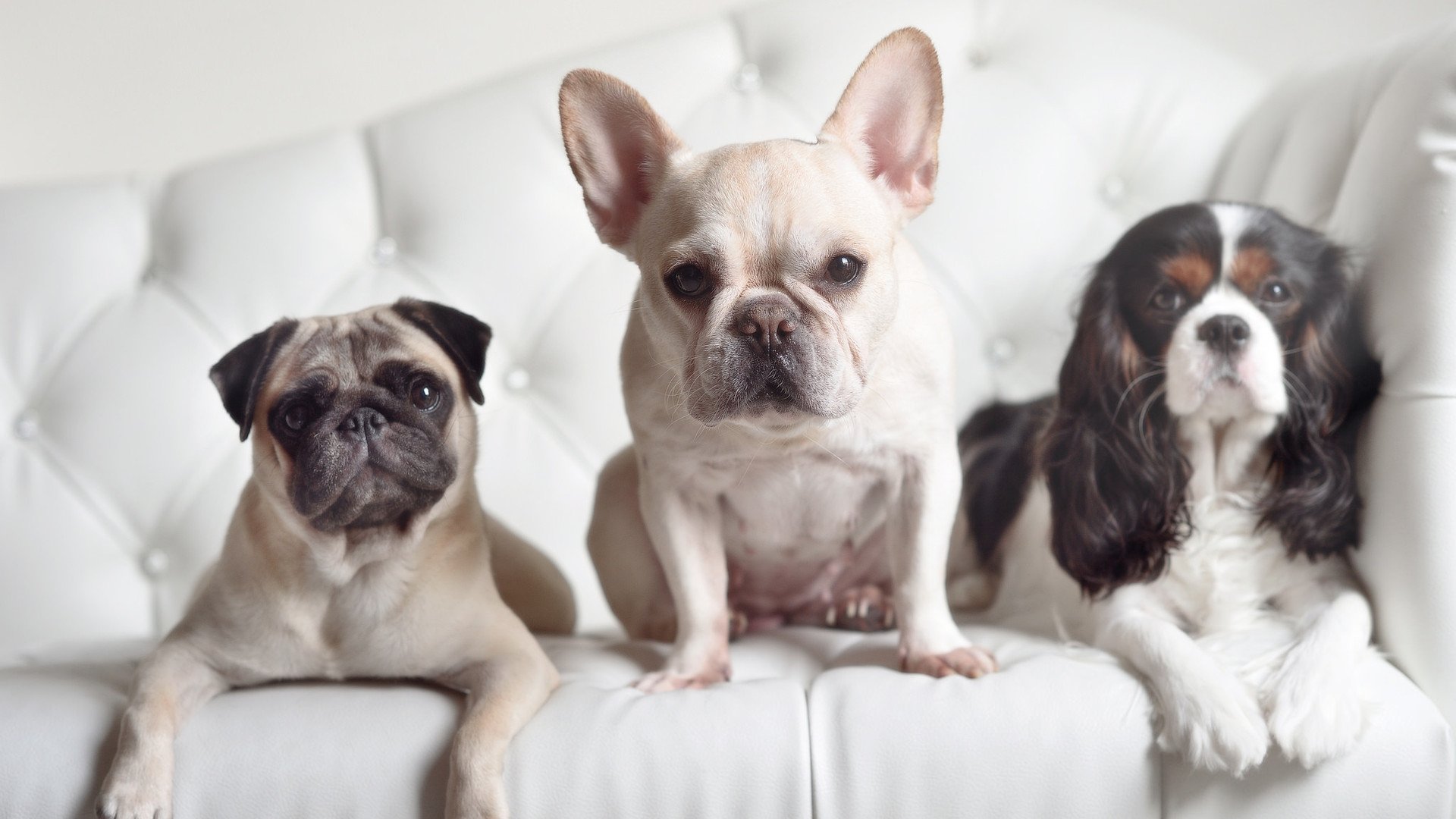 LEYU SPORTS中国官方网站-恩波利阵地战中寻找有效得分方式，恩波利老板