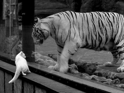 乐鱼（LEYU）体育-深圳领航队积极沟通建立场上默契基础，深圳领航青年队