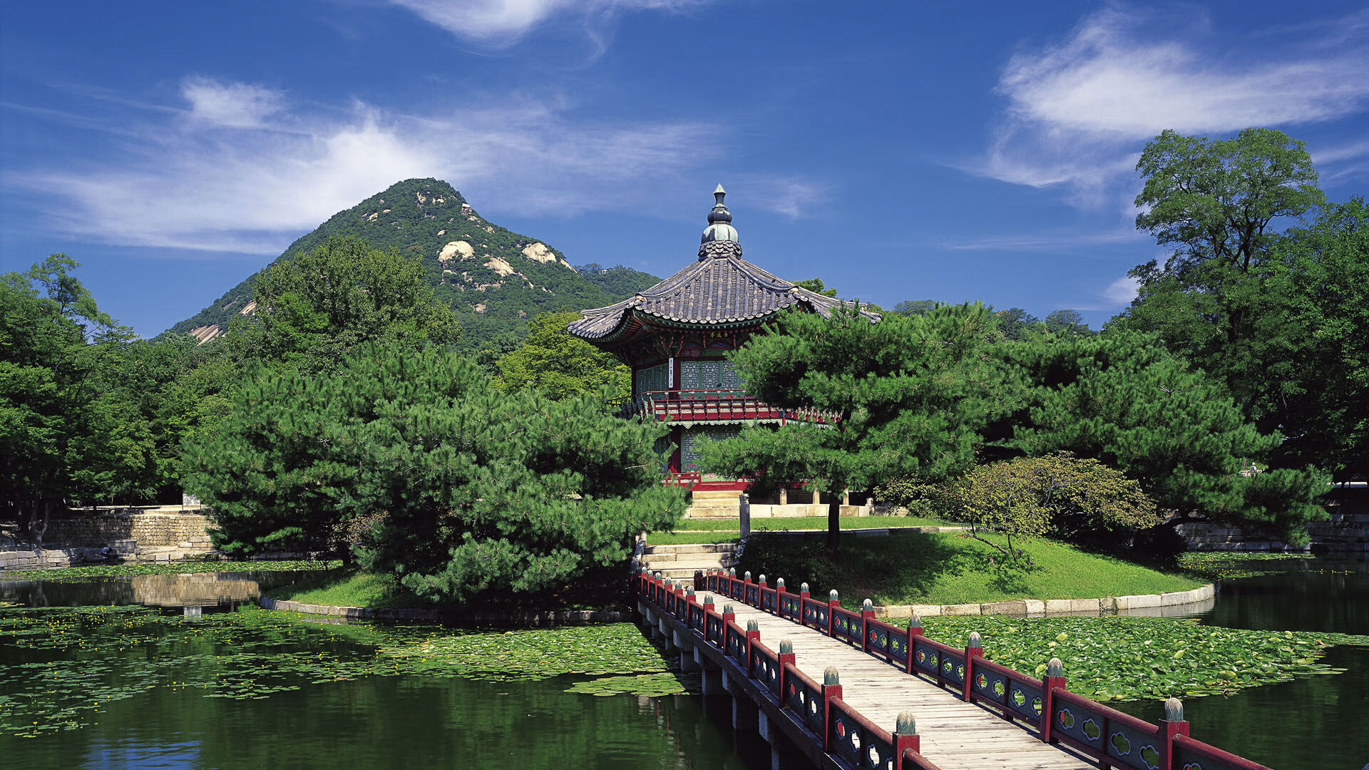 决赛高能 麦克沃伊速度不可阻挡,迈克麦达沃伊