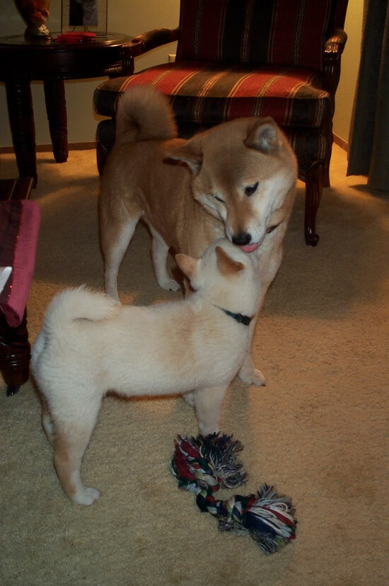 乐鱼体育平台官网-约翰·恩多耶-布鲁阿尔以坚韧精神挑战极限，恩内斯特·布鲁佛