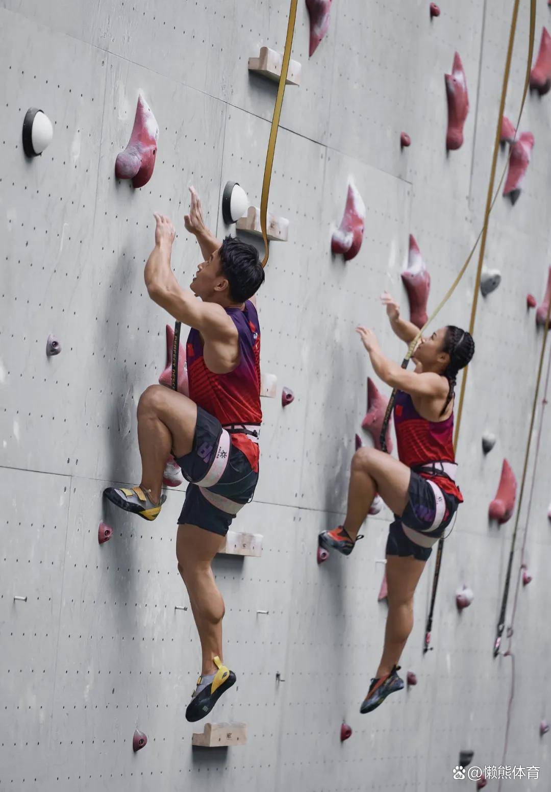 关于乐鱼体育：精神与体能的双重挑战：运动员的成长过程的信息