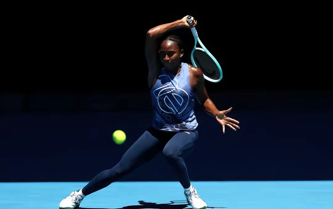 关于乐鱼体育:Women'sTennisAssociation的成长与挑战，女性网球的发展的信息